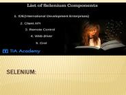 selenium Training in chennai