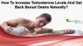 How To Increase Testosterone Levels And Get Back Sexual Desire Naturally? PowerPoint PPT Presentation