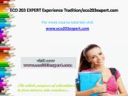 ECO 203 EXPERT Experience Tradition/eco203expert.com