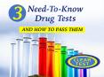 3 Need-To-KnowDrug Tests And How To Pass Them PowerPoint PPT Presentation