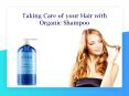 Organic Shampoo PowerPoint PPT Presentation