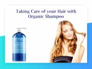 Organic Shampoo
