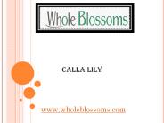 Calla Lily - www.wholeblossoms.com