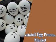 Global Egg Protein Market