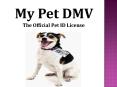 Design Custom Pet Driver’s License ID Tags - MyPetDMV PowerPoint PPT Presentation