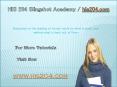 HIS 204 Slingshot Academy / his204.com PowerPoint PPT Presentation