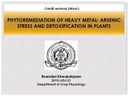 Arsenic phytoremediation