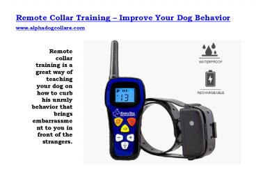 Remote Collar Training