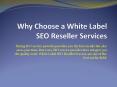 Why Choose a White Label SEO Reseller Services PowerPoint PPT Presentation