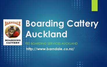 Boarding Cattery Auckland