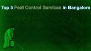 Pest Control Bangalore companies
