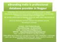 eBranding India is professional database provider in Nagpur PowerPoint PPT Presentation