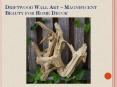 Driftwood Wall Art – Magnificent Beauty for Home Decor PowerPoint PPT Presentation