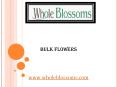 Bulk Flowers - wholeblossoms PowerPoint PPT Presentation