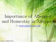 Homestay in Alleppey (4)