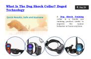 What is the dog shock collar? Doged Technology