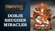 ﻿Dorje Shugden Miracles