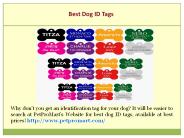 Best Pet Supplies Online