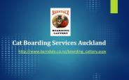 Cat Boarding Services Auckland