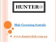 Male Grooming Australia - hunterlab.com.au (1) PowerPoint PPT Presentation