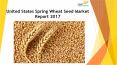 24 Market Reports: United States Spring Wheat Seed Market Report 2017 PowerPoint PPT Presentation