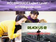 ACC 556 GUIDE Expert Level –acc556guide.com