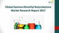 Global gamma dimethyl butyrolactone market research report 2017 PowerPoint PPT Presentation
