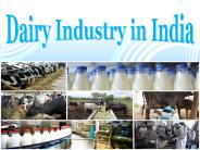 Dairy Industry in India