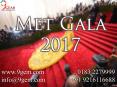 Met Gala 2017 PowerPoint PPT Presentation