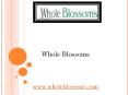 Whole Blossoms - wholeblossoms PowerPoint PPT Presentation