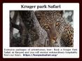South Africa Safari Cost (2) PowerPoint PPT Presentation