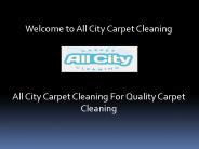 Professional Carpet Cleaning Services, Carpet Cleaning Services