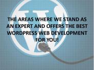 BEST WORDPRESS WEB DEVELOPMENT
