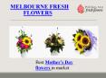 Best Mother’s Day flowers Delivery – Melbourne Fresh flowers PowerPoint PPT Presentation