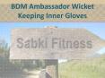 BDM Ambassador Wicket Keeping Inner Gloves - Sabkifitness.com