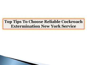 Top Tips To Choose Reliable Cockroach Extermination New York Service