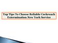 Top Tips To Choose Reliable Cockroach Extermination New York Service PowerPoint PPT Presentation