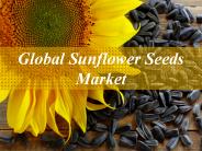 Global Sunflower Seeds Market