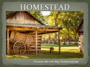 Homestead