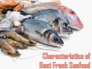 Characteristics of Best Fresh Seafood