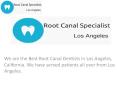 Porcelain Veneers- Root Canal Specialists PowerPoint PPT Presentation