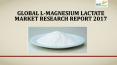 Global l magnesium lactate market research report 2017 PowerPoint PPT Presentation