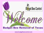 Live Bee Removal Houston| Budget Bee Control