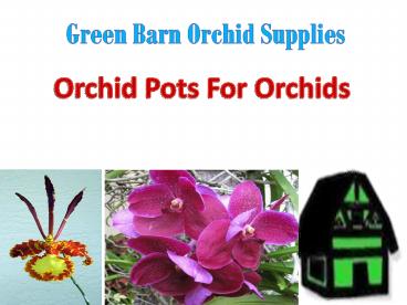 Buy Orchid Pots From Green Barn Orchid Supplies