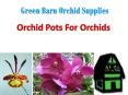 Buy Orchid Pots From Green Barn Orchid Supplies