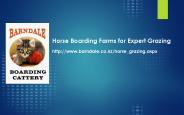 Horse Boarding Farm Auckland