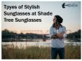 Tpyes of Stylish Sunglasses at Shade Tree Sunglasses PowerPoint PPT Presentation