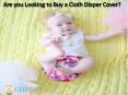 Are you Looking to Buy a Cloth Diaper Cover?