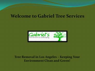 Tree Removal in Los Angeles at gabrieltreeservices.com