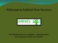 Tree Removal in Los Angeles at gabrieltreeservices.com PowerPoint PPT Presentation
